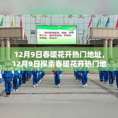 12月9日春暖花开热门地点探索指南,一步步完成任务的旅程