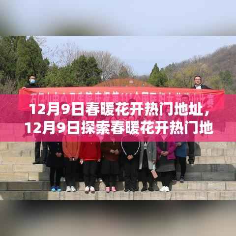 12月9日春暖花开热门地点探索指南,一步步完成任务的旅程