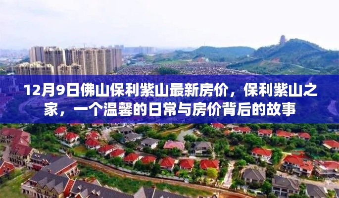 保利紫山之家,温馨日常与房价背后的故事(佛山最新房价)