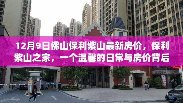 保利紫山之家,温馨日常与房价背后的故事(佛山最新房价)