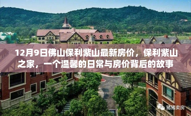 保利紫山之家,温馨日常与房价背后的故事(佛山最新房价)