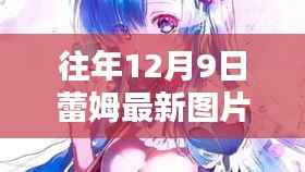 历年12月9日蕾姆最新图片回顾,影像印记与影响力的深度探索