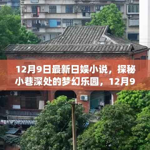 以下是一个标题,揭秘小巷梦幻乐园,最新日娱小说涉黄问题探究。
