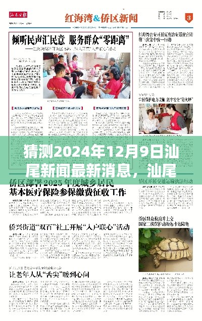 独家揭秘,汕尾新闻小探秘,带你领略温馨日常的汕尾新闻最新消息(预测日期,2024年12月9日)
