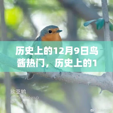历史上的12月9日,鸟酱带你探寻自然美景的治愈之旅