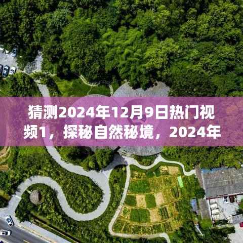 探秘自然秘境,揭秘未来热门旅行视频预告,寻找内心的山水乐园(2024年热门视频预告)