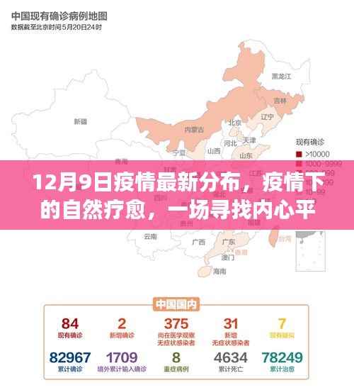疫情最新分布背后的故事,自然疗愈与内心平静的寻找(12月9日更新)