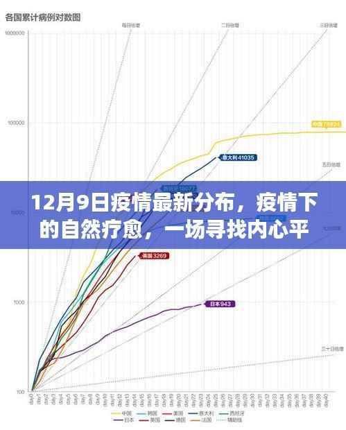 疫情最新分布背后的故事,自然疗愈与内心平静的寻找(12月9日更新)