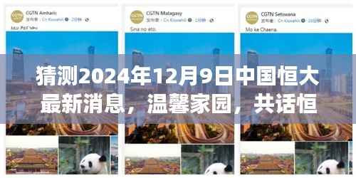 时光与友情的见证,中国恒大最新动态及未来展望——温馨家园的日常故事(猜测2024年12月9日)