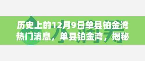 揭秘单县铂金湾历史上的十二月九日热门时刻与消息回顾