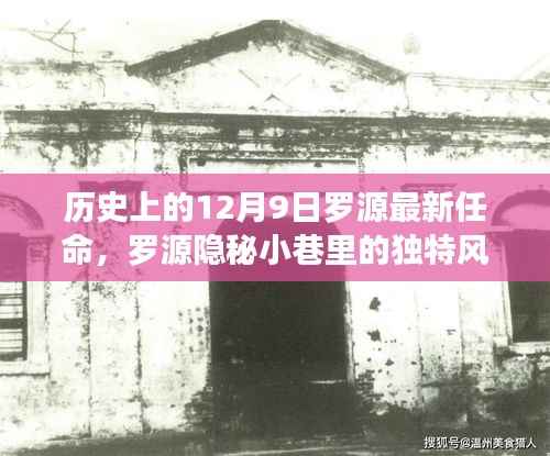 贵极人臣 第3页