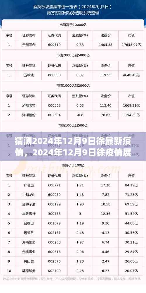 2024年12月9日徐地区疫情展望,背景、进展与影响分析