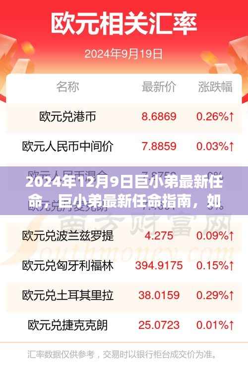 巨小弟最新任命指南,角色过渡与任务完成初学者进阶教程