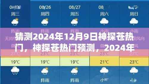 神探苍热门预测,2024年12月9日的猜想与期待