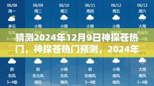 神探苍热门预测,2024年12月9日的猜想与期待