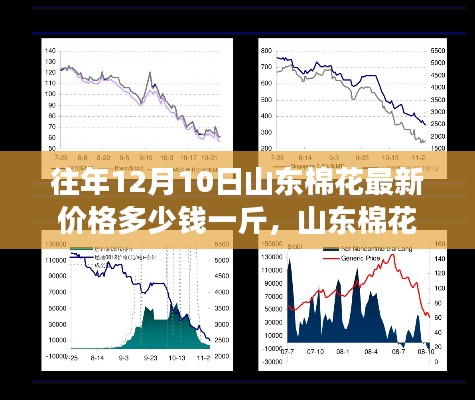 山东棉花最新价格走势深度解析,历史视角与多方观点探讨,往年12月10日棉花价格一览表