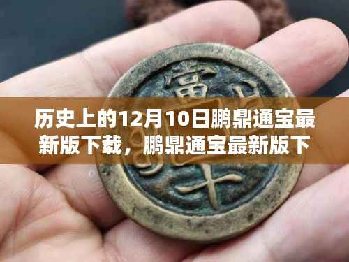 鹏鼎通宝最新版下载,重塑数字金融体验的先锋力量,历史回顾与最新动态