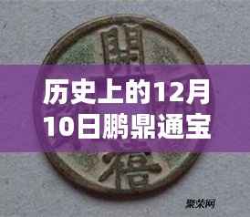 鹏鼎通宝最新版下载,重塑数字金融体验的先锋力量,历史回顾与最新动态
