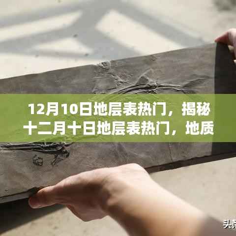 揭秘十二月十日地层表热门，地质科学三大热议焦点揭秘