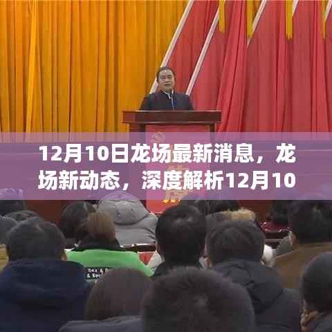 深度解析,龙场最新动态与消息速递(12月10日更新)