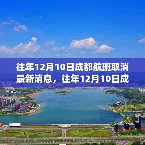 往年12月10日成都航班取消消息解析及最新动态速递