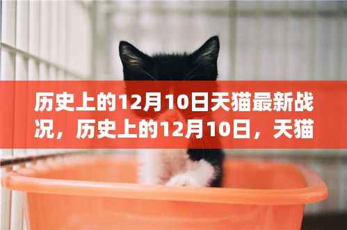 12月10日天猫科技新品发布,智能革新引领未来生活体验