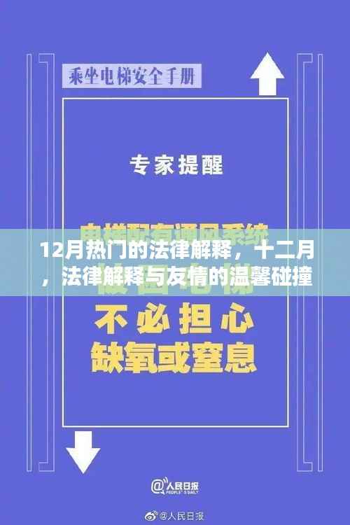 十二月法律解释热点,友情与法律交织的温馨碰撞