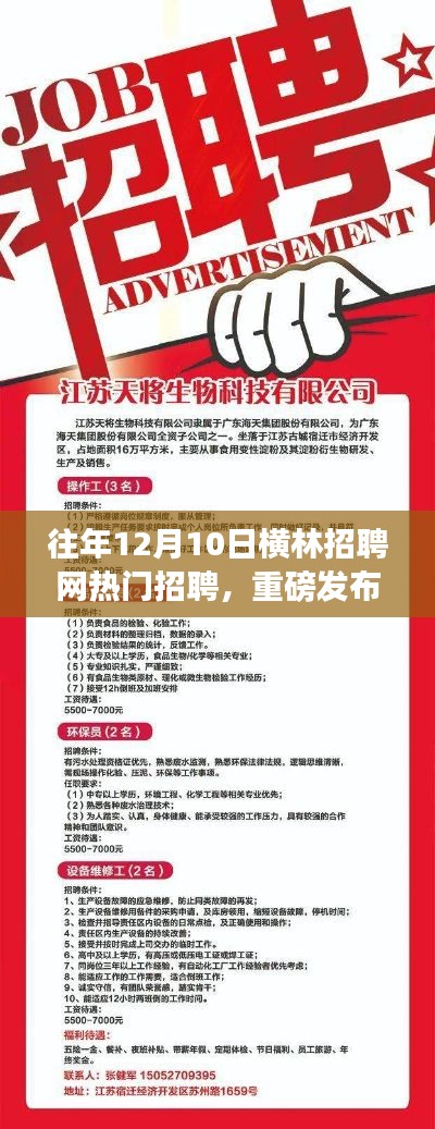 横林招聘网年度盛事,科技革新引领未来招聘新纪元,热门职位一网打尽