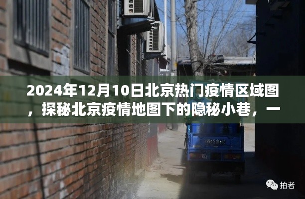 粗枝大叶 第5页