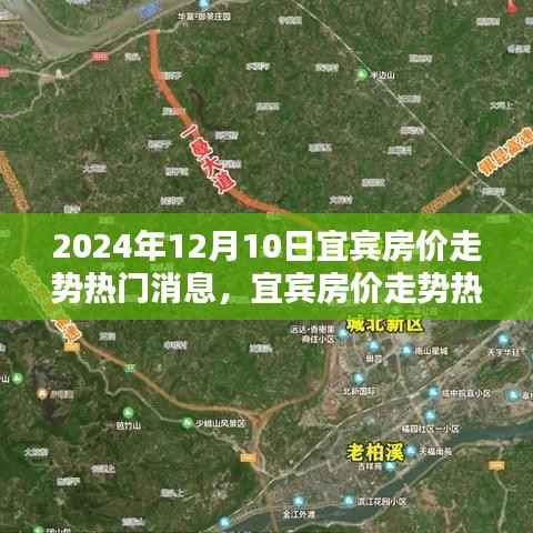 宜宾房价走势深度解析,聚焦宜宾房价走势热门消息与观点分析(2024年12月10日)