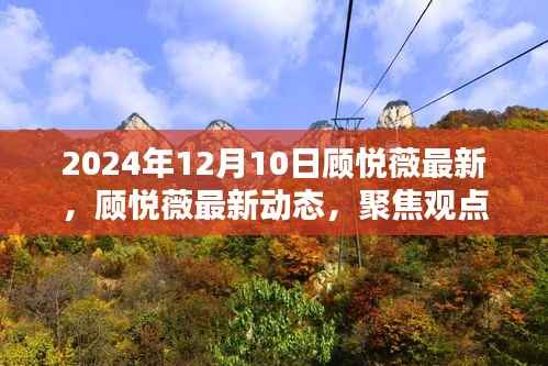 顾悦薇最新动态与观点聚焦,探寻价值,洞悉未来展望(2024年12月10日更新)