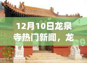 龙泉寺热议,励志故事冬日的绽放,探寻自信与成就之源