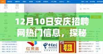 探秘安庆招聘网热门信息背后的独特小店故事,小巷深处的宝藏揭秘