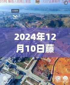藤县禤洲大桥新规划揭秘,未来桥梁艺术的蓝图(2024年12月10日最新规划)