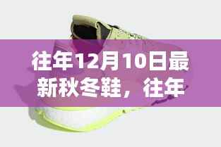 精选时尚秋冬鞋款，舒适与潮流并存——往年12月10日最新精选鞋履回顾