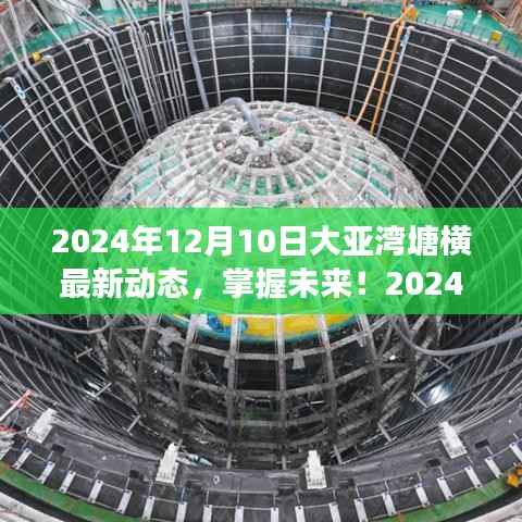 2024年大亚湾塘横最新动态全攻略,掌握未来,初学者与进阶用户必读
