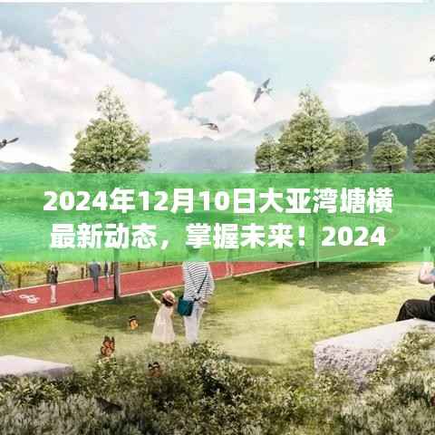 2024年大亚湾塘横最新动态全攻略,掌握未来,初学者与进阶用户必读