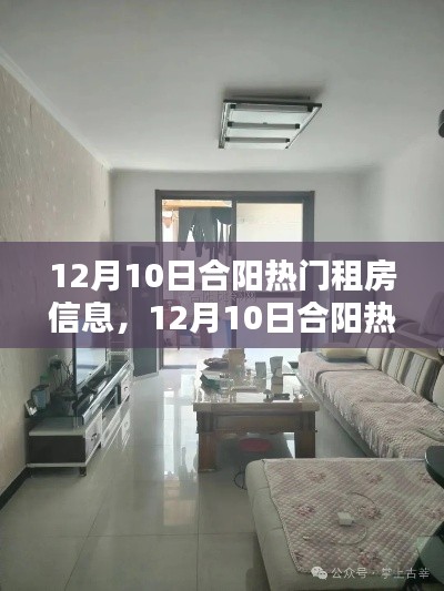12月10日合阳热门租房信息全攻略,寻找理想住所的必备指南