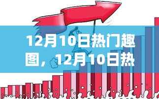 12月10日热门趣图大盘点,当日视觉盛宴一网打尽
