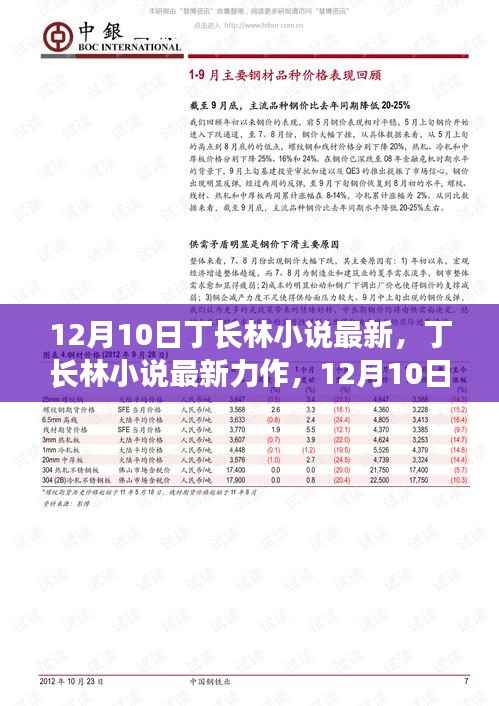 丁长林最新力作,探寻内心的桃花源——自然探秘之旅的启示