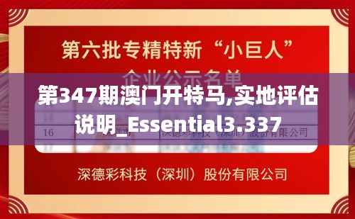 第347期澳门开特马,实地评估说明_Essential3.337