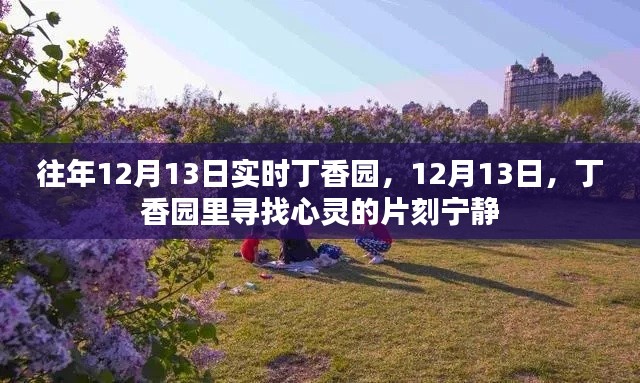 丁香园里寻找心灵的宁静时光,每年的十二月十三日