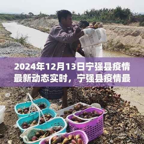 宁强县疫情最新动态实时报告,深度解析与体验评测
