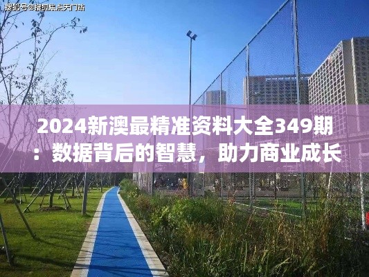 2024新澳最精准资料大全349期:数据背后的智慧,助力商业成长