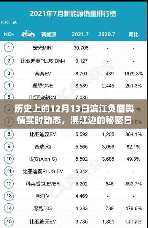 滨江负面舆情动态与爱的秘密日记,历史上的12月13日与滨江边的陪伴时光