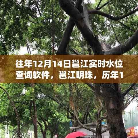 历年12月14日邕江水位查询软件的发展与影响,�� 结出明珠的历程