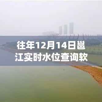 历年12月14日邕江水位查询软件的发展与影响,�� 结出明珠的历程