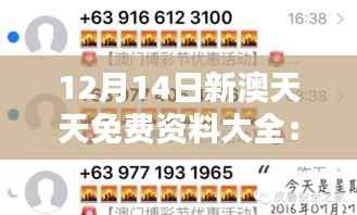 12月14日新澳天天免费资料大全:免费不等于普通,这里有最好的
