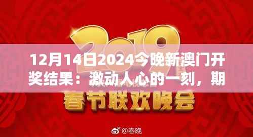 12月14日2024今晚新澳门开奖结果:激动人心的一刻,期待大奖揭晓!