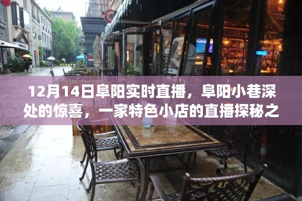 阜阳小巷深处的特色小店直播探秘之旅